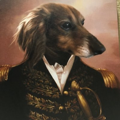 Mongoose_FC's profile picture. 