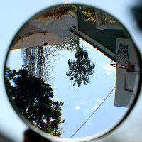 Oakteen (@ann_nomura) 's Twitter Profile Photo