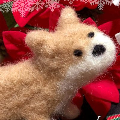 Graffteaグラフティー みんなメリメリメリークリスマス 犬用ケーキ待機 Grafftea らくがき いぬ実写 ハンドメイド 羊毛フェルト 柴犬 クリスマス クリパ Graffteaグラフティー みんなメリメリメリークリスマス 犬用ケーキ待機 Grafftea らくがき いぬ実写 ハンドメイド 羊毛フェルト 柴犬 クリスマス クリパ