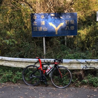 yu_ponyo_'s profile picture. ロードバイク初めて3年目