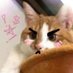 hannerhapper (@hannerhapper) Twitter profile photo hannerhapper (@hannerhapper) Twitter profile photo