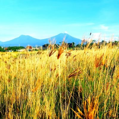 Faris43246896's profile picture. 