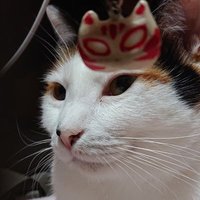 ふ み ^._.^ (@fumisanno_o075_) 's Twitter Profile Photo ふ み ^._.^ (@fumisanno_o075_) 's Twitter Profile Photo