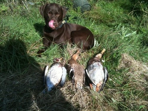 nicola_angel1's profile picture. loves daniel, Luke and Katie