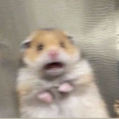 Krylle__'s profile picture. lurker bare lidt brormand ok?