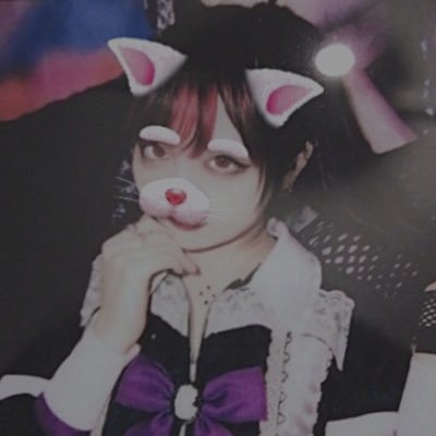菫さんのプロフィール画像