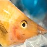 Yuta Nakamura🐠 photo