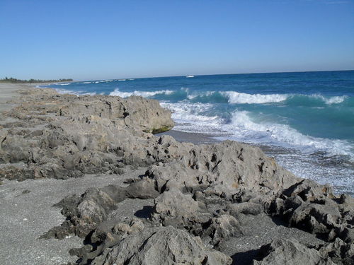 JupiterFLBiz's profile picture. Lets get Jupiter Florida Businesses booming again! #booming If your a local biz and need a social network to promote your biz follow our tweets! #teamfollowback