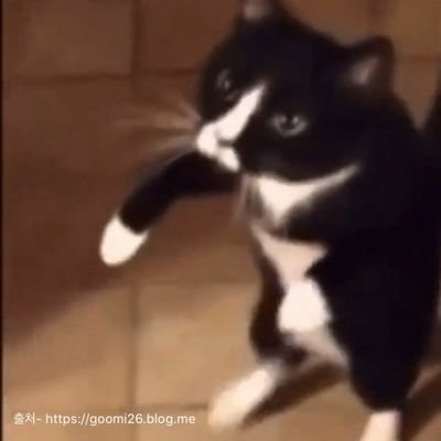 nRSsp3ZjGAdv8Su's profile picture. 27

야동 보는 용도