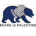 Bears for Palestine (@BearsForPali) Twitter profile photo