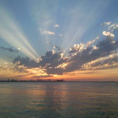 MoamenMoon's profile picture. 