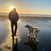 Liam McCann (@liam8944) 's Twitter Profile