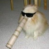 mooz (@skrub______) 's Twitter Profile