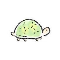 空🐢🌼 (@kuu08) 's Twitter Profile