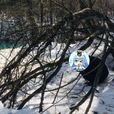 0312Terurin's profile picture. 休みが取れない運送夜勤マン
サーフ、ネイティブ、エリア

skロケ社員4年目