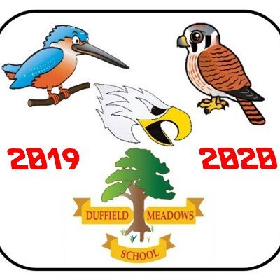 DuffMeadowsY5Y6's profile picture. Follow us for up to date news on our 3 Y5/Y6 classes,  Eagles, Kestrels & Kingfishers here at Duffield Meadows Primary School.