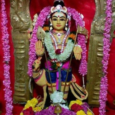 saveenvironmen's profile picture. 