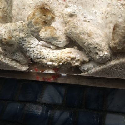 ID6NngN5xF5Efc0's profile picture. 下手やけどバドミントン好き 北大総理