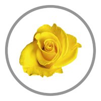 runwood_homes (@runwood_homes) 's Twitter Profile