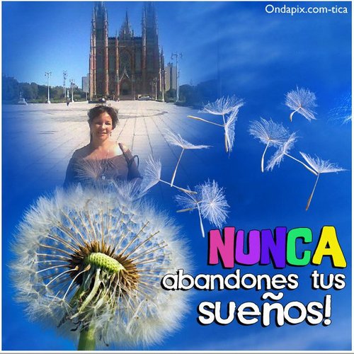 llopezclau's profile picture. Ser recien nacido de casi 40 años, con muchos más para disfrutarlos!!!