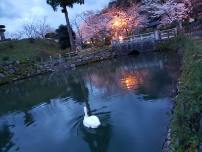 宝塚に最近、ハマりだしました!
初心者🔰です!
まだまだ、知らないことも多いので
おすすめの方を教えてくださる
と嬉しいです💓💕💓
最近は極美 慎さん。
朝美 絢さん。キキちゃんかわい。
推しています!!
高校2年生。
#宝塚ファンと繋がりたい
