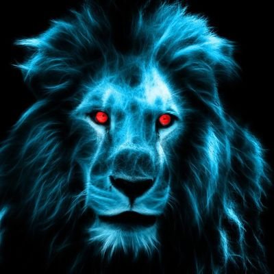 DindiBarasa's profile picture. Lwanda Magere