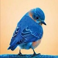 인엔 (@ieofgroup) 's Twitter Profile