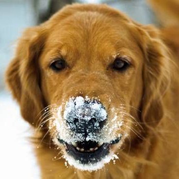 LeacavreaSunset's profile picture. 