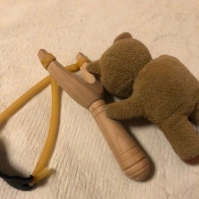スリングショット🐴物書き趣味さんのプロフィール画像