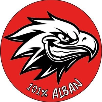 101percentalba1's profile picture. I have 3 balls.