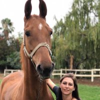 Jo-An Campher (@jo_campher) Twitter profile photo