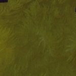 sfgsdfgsさんのプロフィール画像