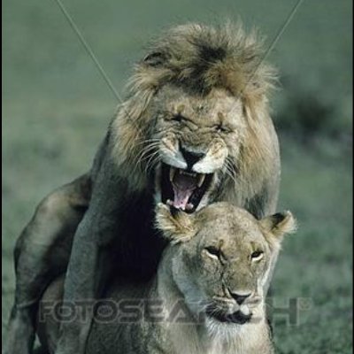 yRzTTIsvRGOJ16L's profile picture. احب النساء