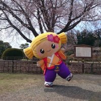 みとちゃん【公式】 (@mitochan310) 's Twitter Profile Photo みとちゃん【公式】 (@mitochan310) 's Twitter Profile Photo