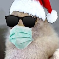 Bruno (@bruno_8893) 's Twitter Profile Photo