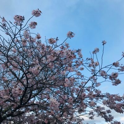 mayu64487034's profile picture. 