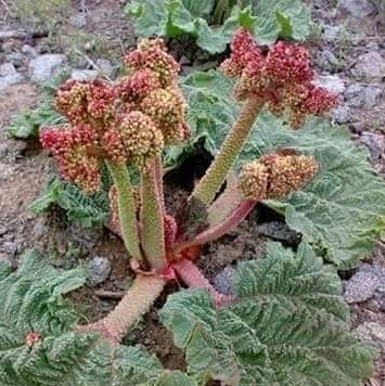 HajiAkb19502095's profile picture. aslama