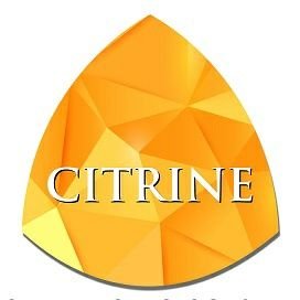 Citrinetech's profile picture. Citrine Technologies Limited helps small and mid-sized organizations protect, manage, and grow their IT.