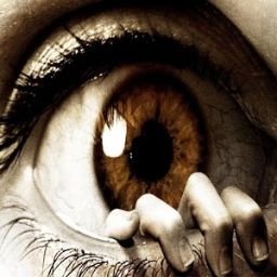 XHorroreyez's profile picture. ● Ich tue Dinge ● Horror, Fußball, Anime, Cosplay, Zeichnen, YouTubeing & StreamingDing!🙃 (Now she/her🤷‍♀️) In one and only true love with my #LasFamilias