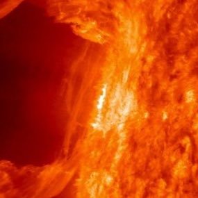 太陽さんのプロフィール画像