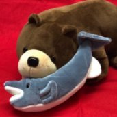 Satoshi79Amore's profile picture. 裏垢男子40代　167/55 やや細身
連絡はKakao⭕️、Line❌
業者さんからのDMは要りません