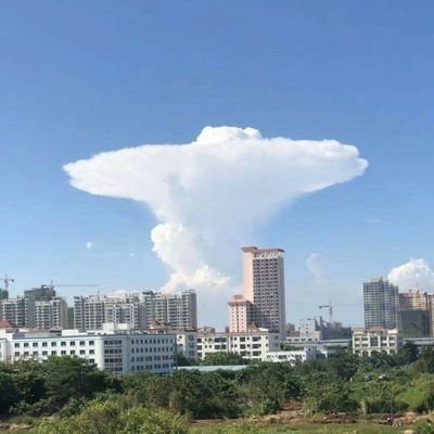 Momoleader1's profile picture. 唯君朝陽仰止
氣象者
Nuister