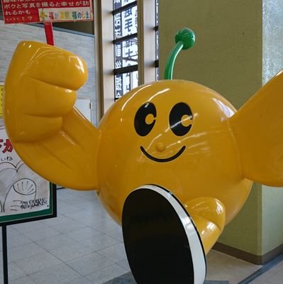 プログラミング学習を始めました😳→CSS挫折😅→他を…😆勉強記録垢/やりながら覚える😃✌️
DMする人は固定ツイも見てください🙇
#現役ITエンジニアと繋がりたい