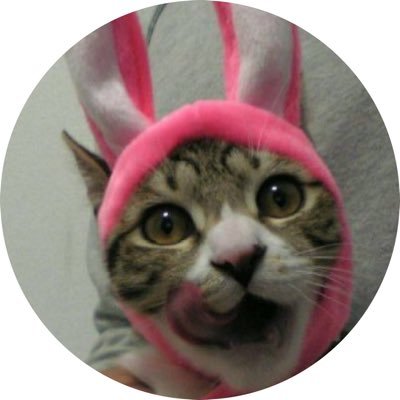 【女帝】あやのまるこすさんのプロフィール画像