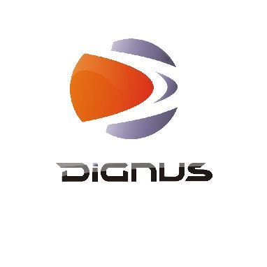 DignusServices Profile Picture