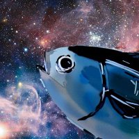 ウズワ (@marusouda) 's Twitter Profile Photo ウズワ (@marusouda) 's Twitter Profile Photo