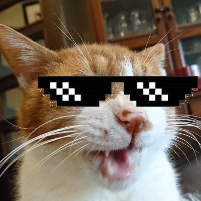 うめ(のこ)じろーさんのプロフィール画像