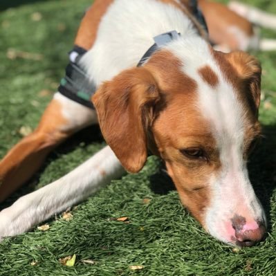 Lucyfairy77's profile picture. 