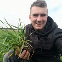 Michał N (@rolnikn) 's Twitter Profile