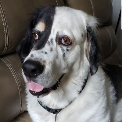 Jb7886066039's profile picture. I like anime. And chicken too.












Ah shit, this ain't Instagram